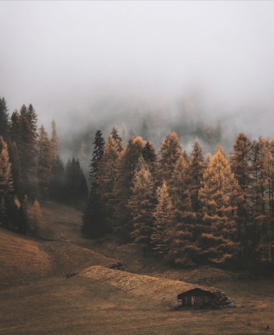 Writing prompt: What is your favorite type of weather?